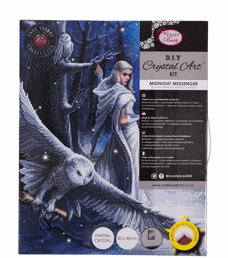 Anne Stokes Midnight Messenger Crystal Art Canvas kit packaging