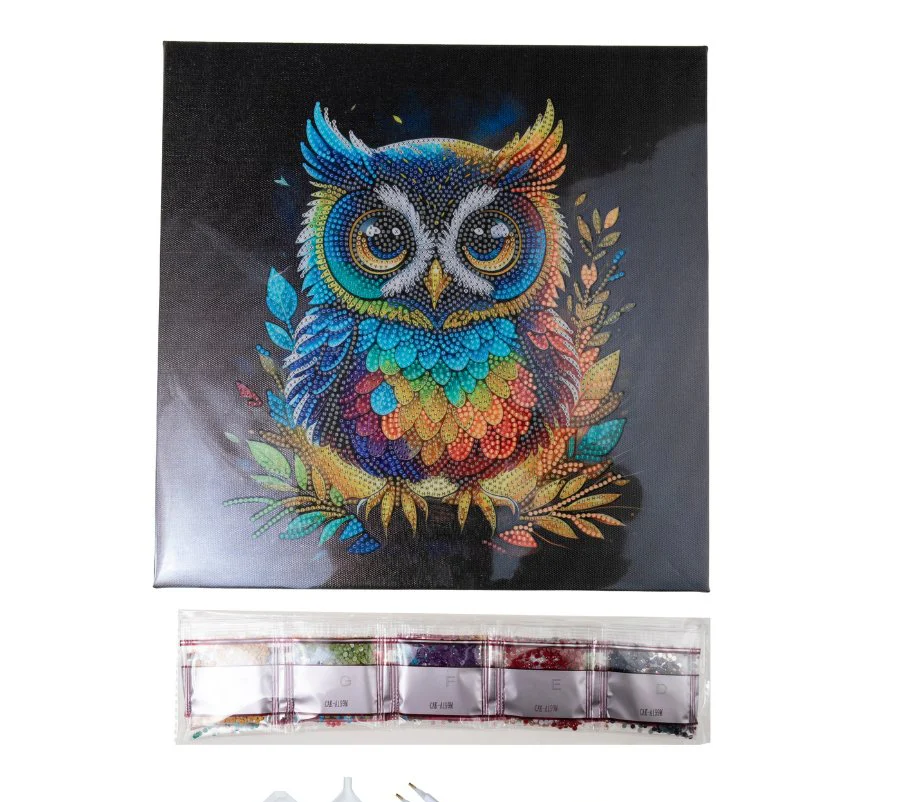 Owl Crystal Art 30cm Canvas Kit contents