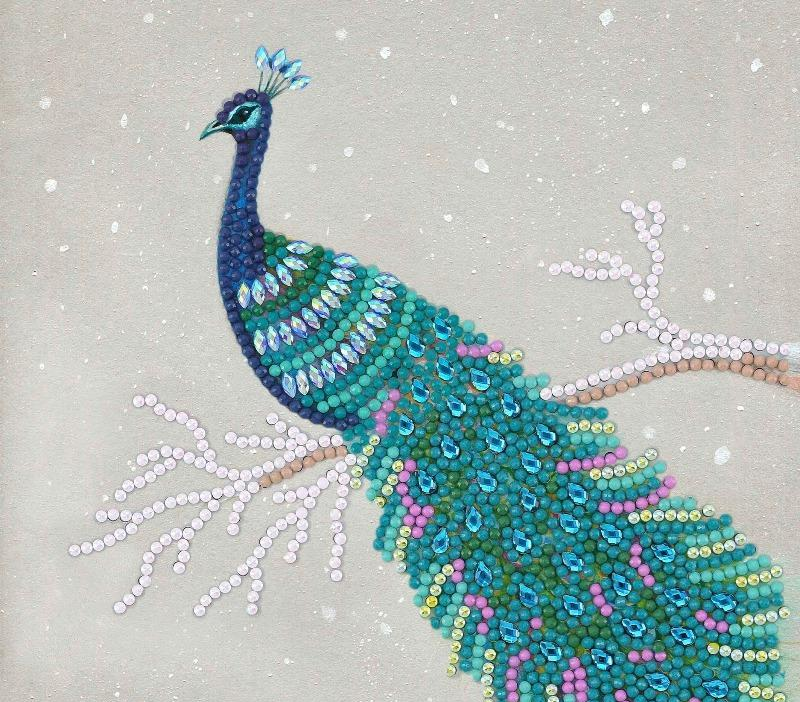 completed Pretty Peacock Crystal Art Greetings Card